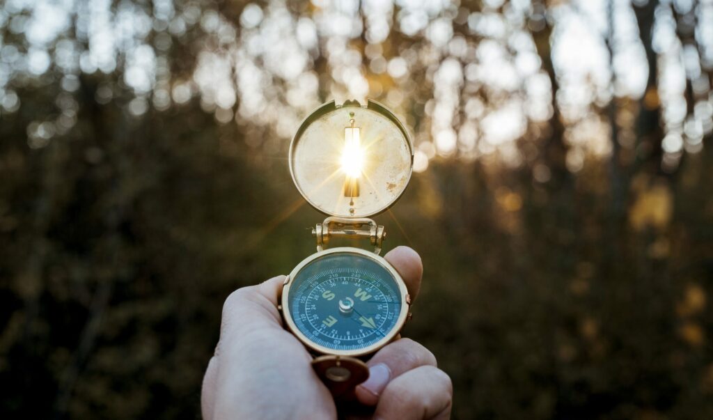 Czy OMNIUBUS to właściwa droga?